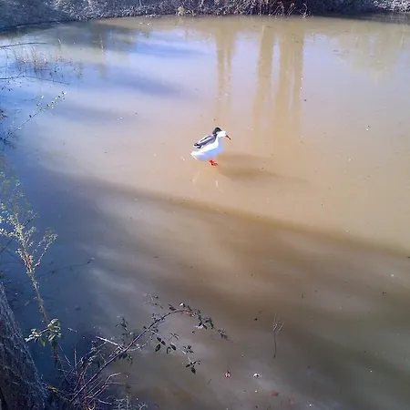 Casale Fusco Feriegård Spoleto