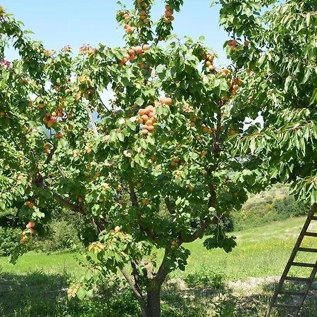 Casale Fusco Σπολέτο