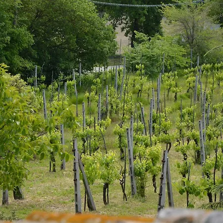 Casale Fusco Feriegård Spoleto