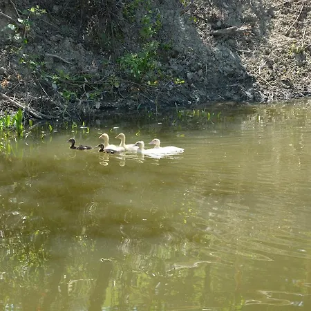 Casale Fusco Feriegård *