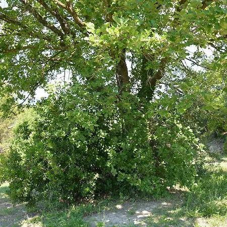 Casale Fusco Feriegård *