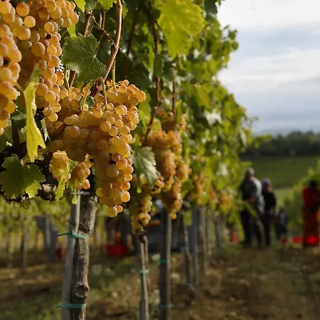 Casale Fusco Feriegård Spoleto