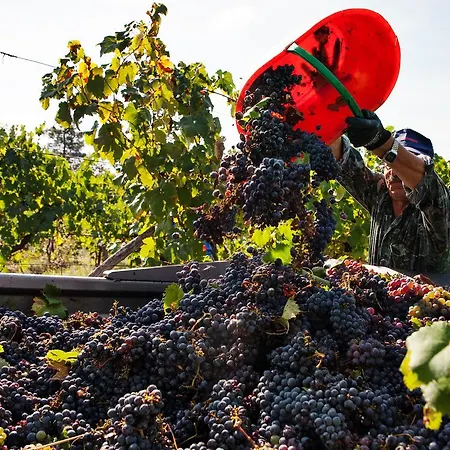 Feriegård Casale Fusco *