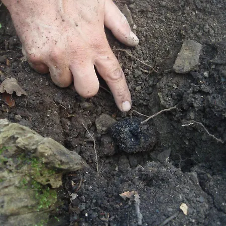 Feriegård Casale Fusco Spoleto