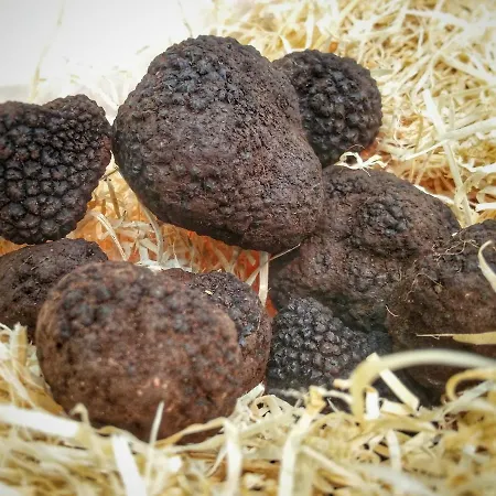 Feriegård Casale Fusco *