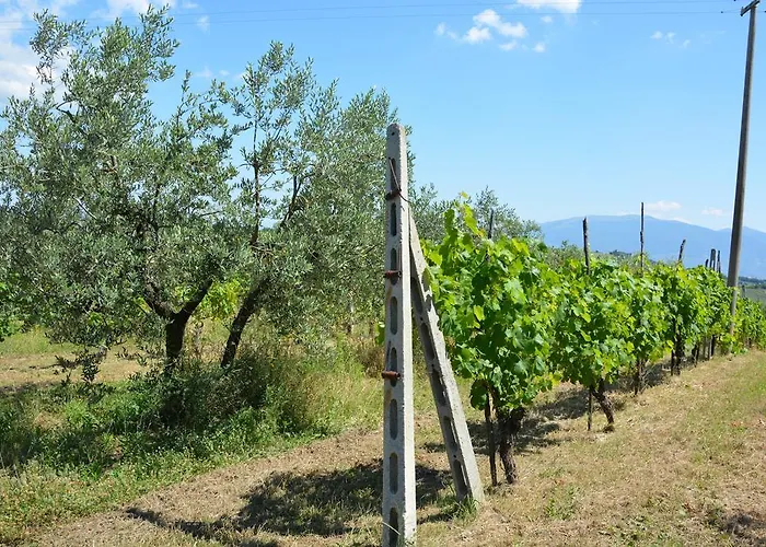 Casale Fusco 팜스테이 스폴레토