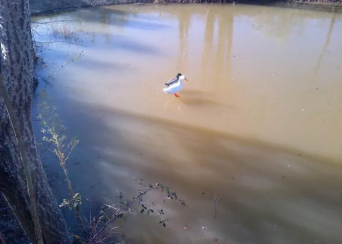 Casale Fusco Séjour à la ferme Spolète