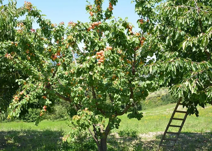 Casale Fusco 스폴레토