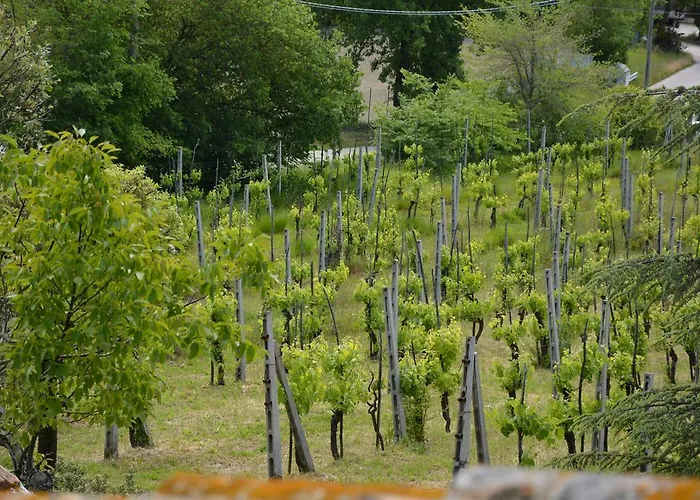 Casale Fusco 팜스테이 스폴레토