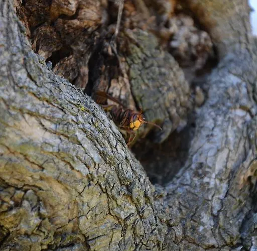 Casale Fusco Séjour à la ferme Spolète