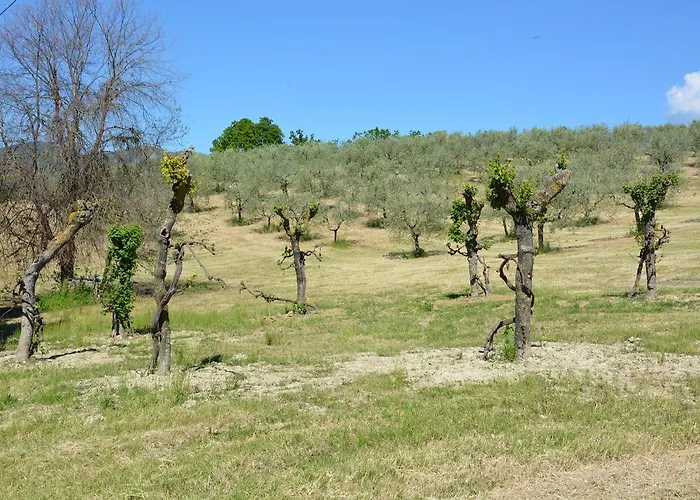 Casale Fusco Spolète