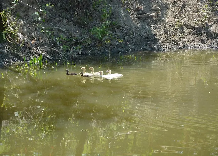 Casale Fusco Séjour à la ferme *