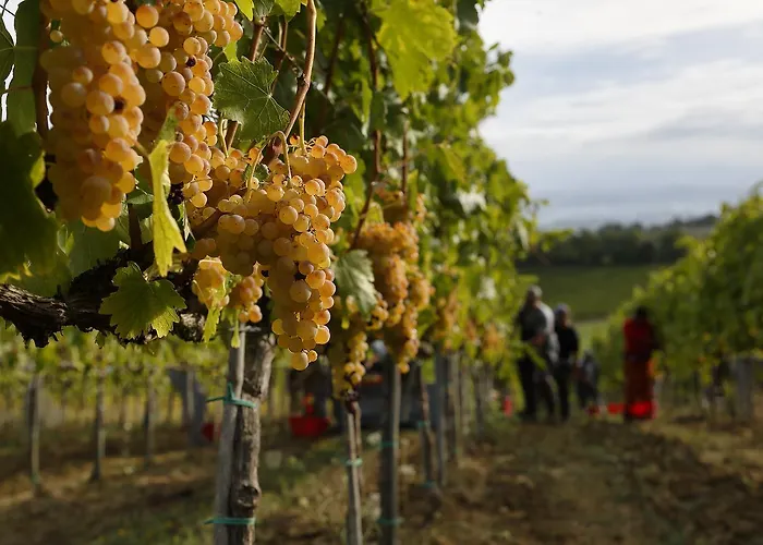 Casale Fusco 팜스테이 스폴레토