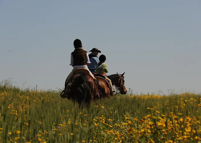 Séjour à la ferme Casale Fusco
