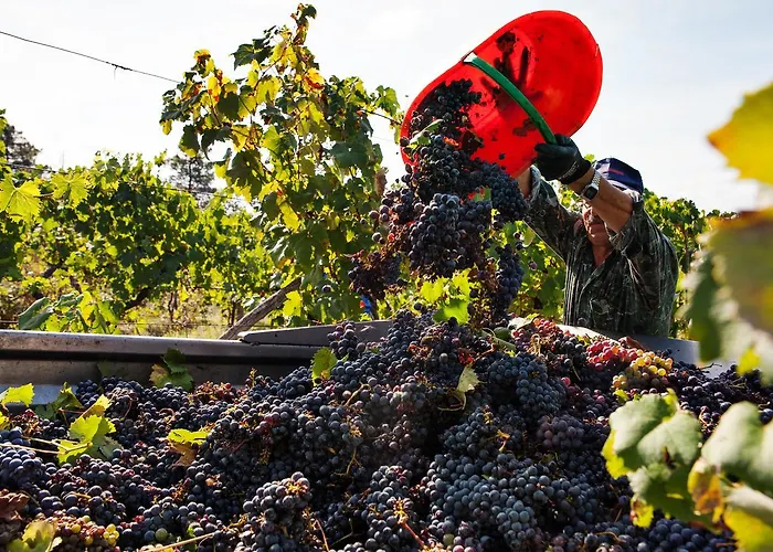 팜스테이 Casale Fusco *