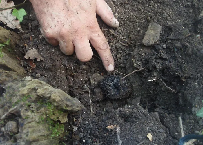 Séjour à la ferme Casale Fusco Spolète