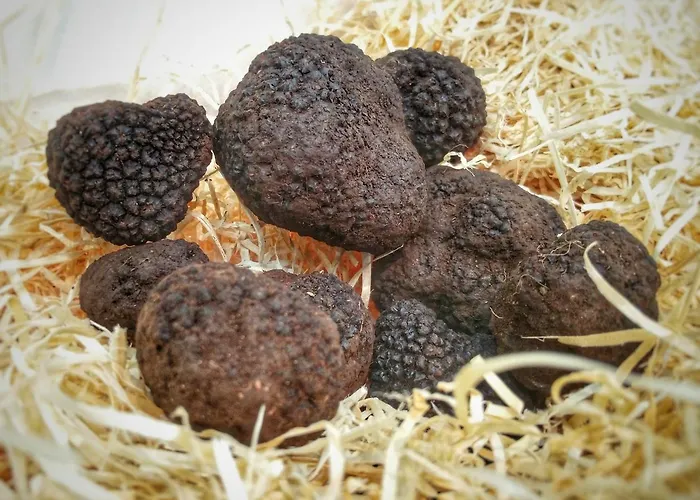 팜스테이 Casale Fusco *